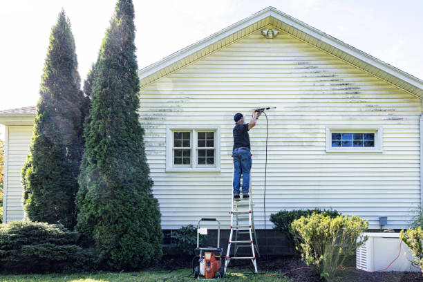 Spring Cleaning in Oyster Bay Cove, NY