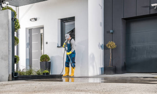 Best Graffiti Removal  in Oyster Bay Cove, NY